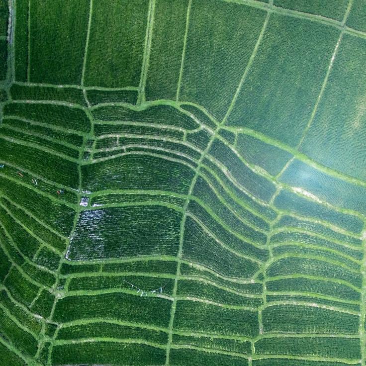 Kids playground area in Canada